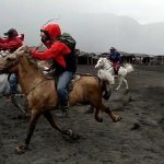 Sepi Job, Ojek Kuda Adu Balapan di Gunung Bromo